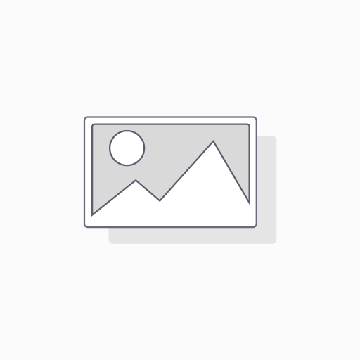 Camera raL4096-24gm